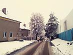 Borovina