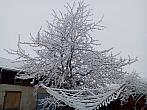 Hostákov