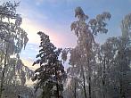 Borovina
