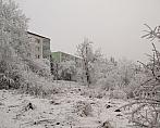 Borovina