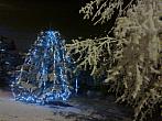Borovina
