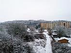 Borovina