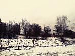 Borovina