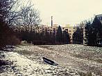 Borovina
