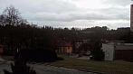 Borovina
