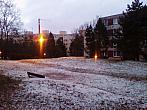 Borovina