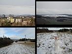 Borovina