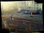 Borovina