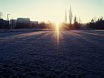 Borovina