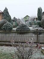 Třibřichy
