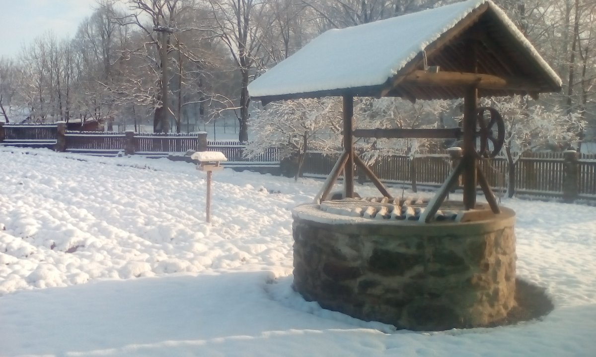 Černá