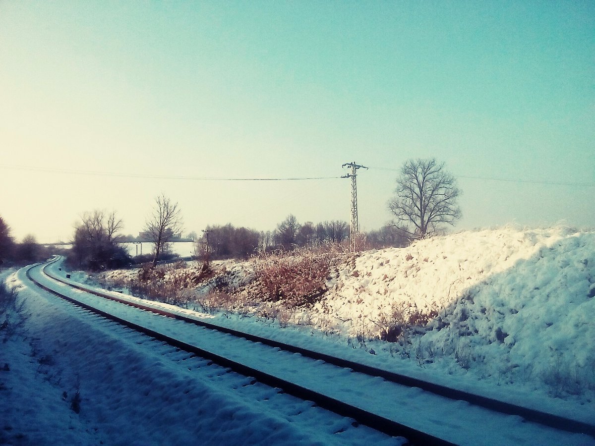 Borovina