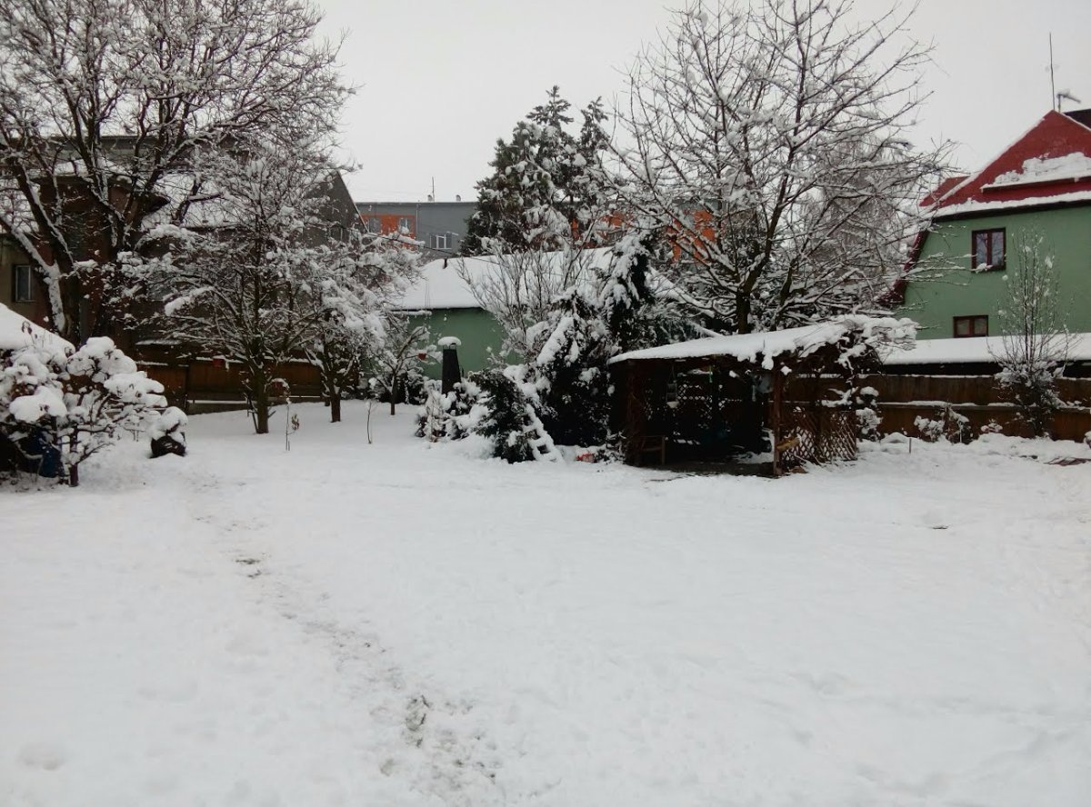 Vítkov