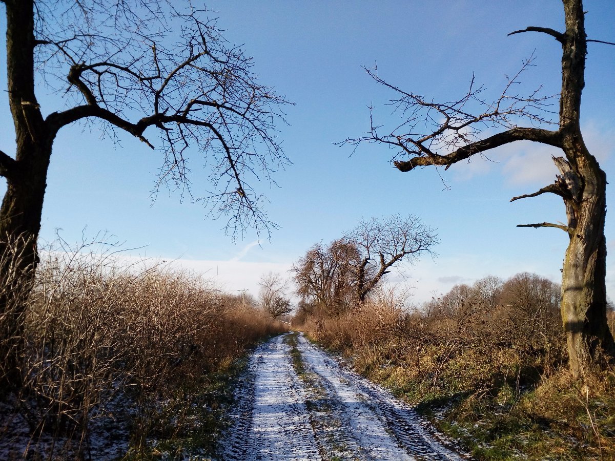 Rychnov nad Kněžnou