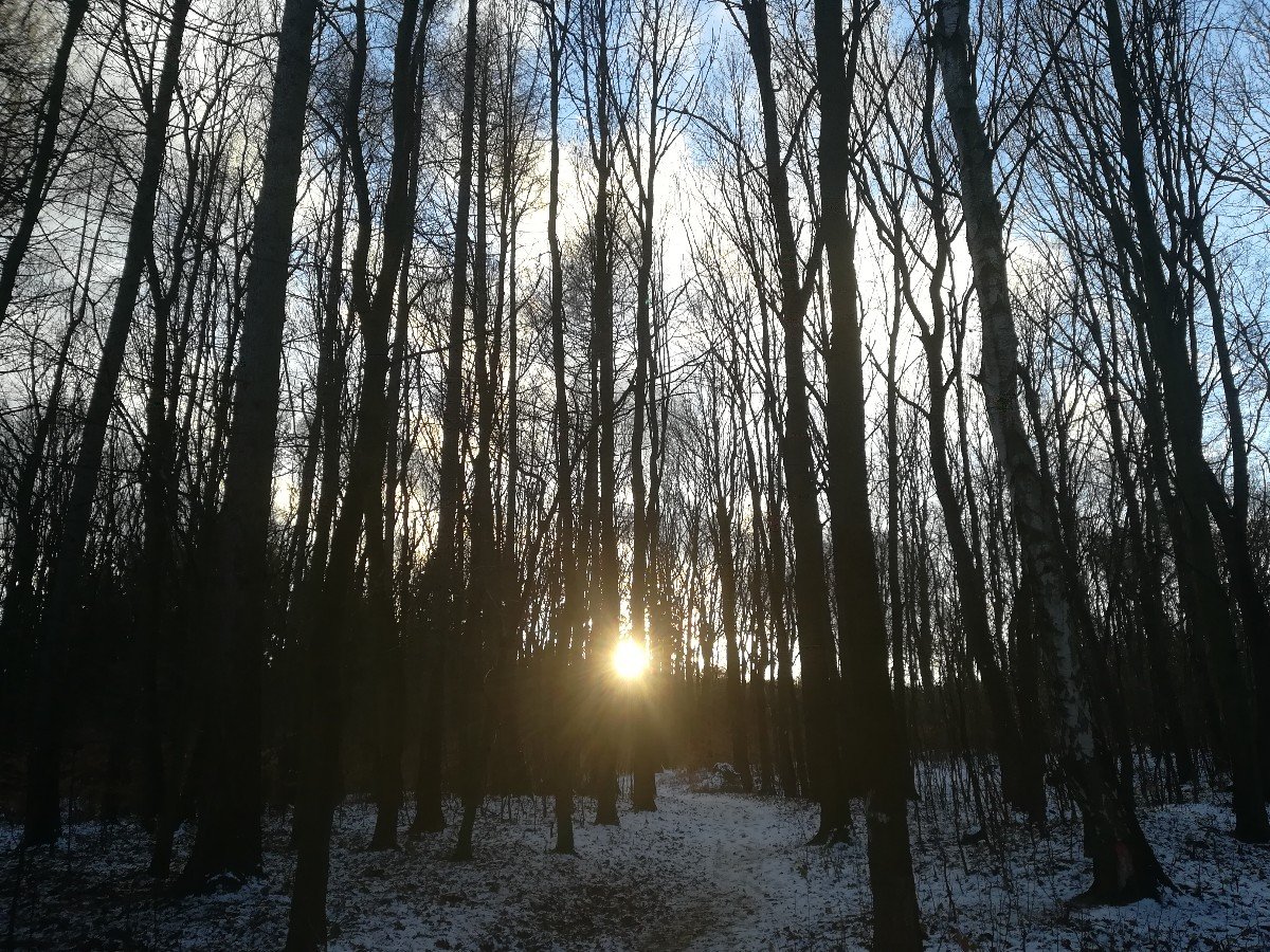 Osek
