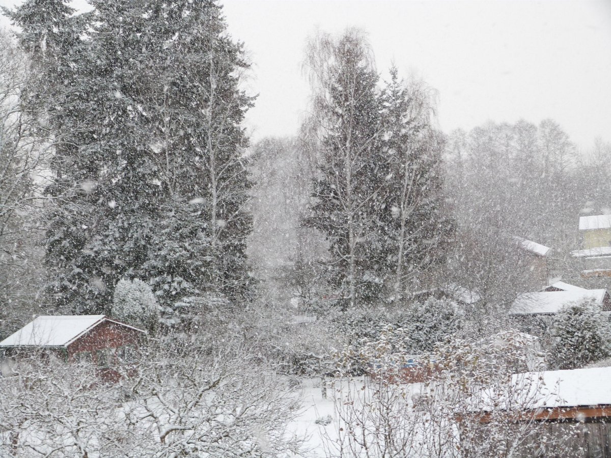 Blatná