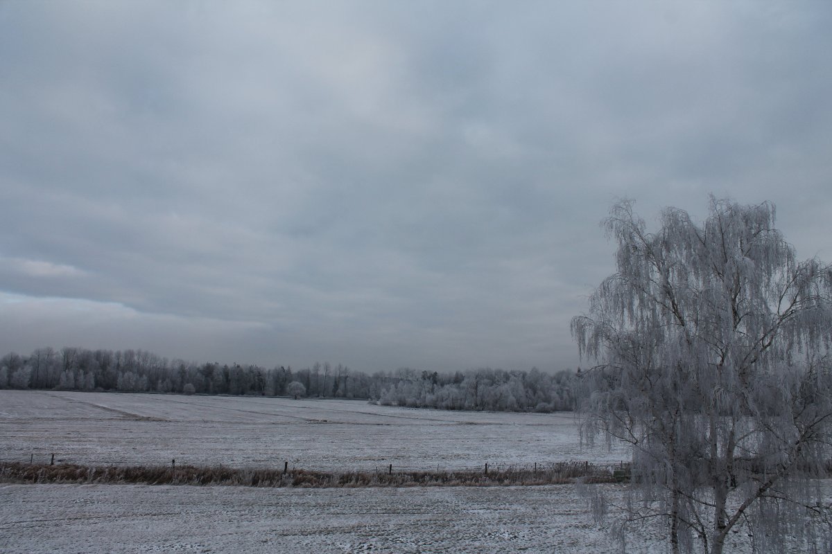 Borkovice-Kozohlůdky