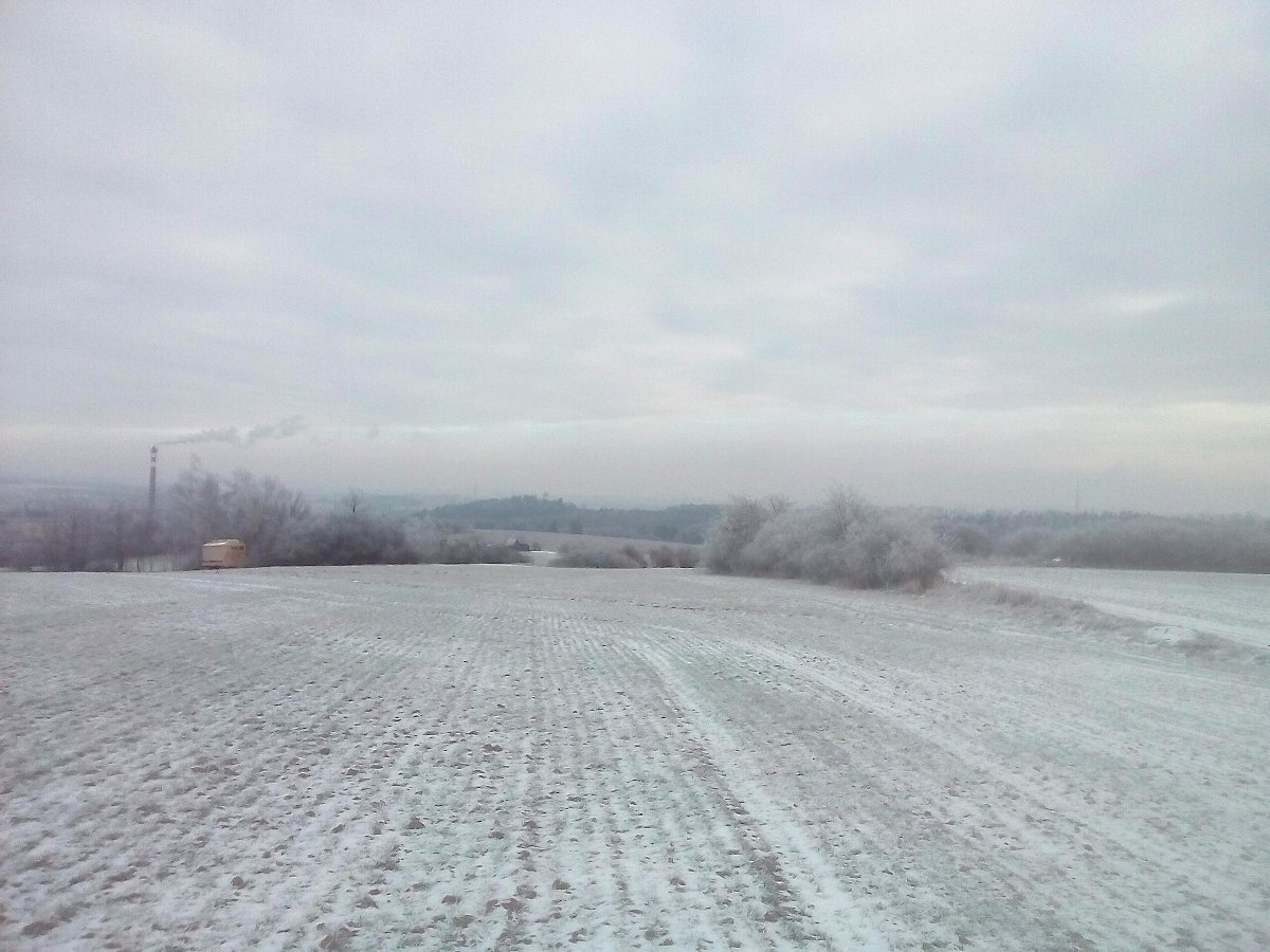 Borovina