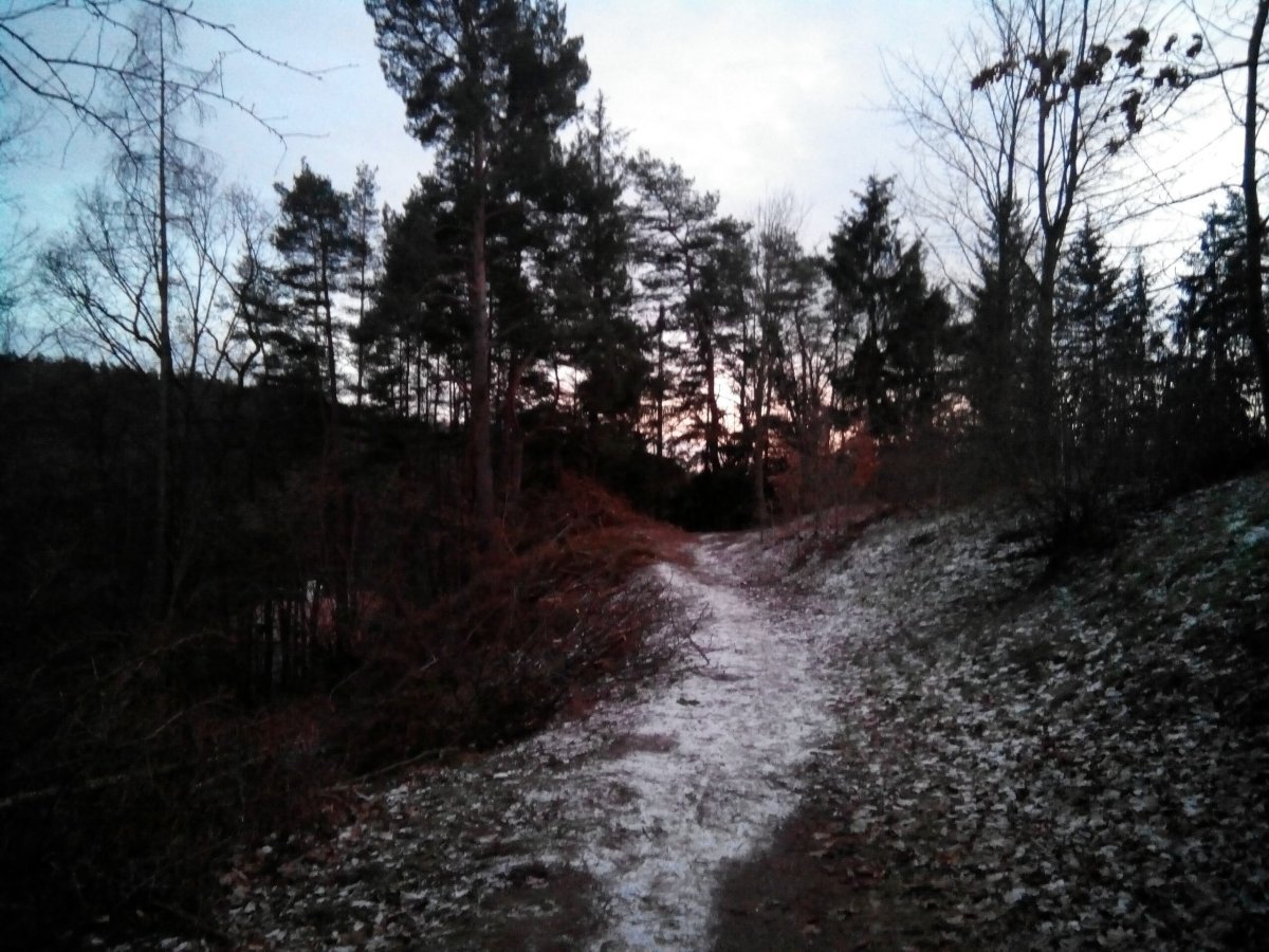 Borovina