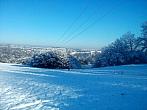 Borovina
