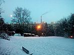 Borovina