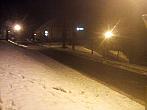 Borovina