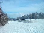 Borovina