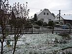 Třibřichy