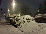Borovina