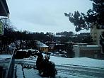 Borovina