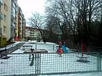 Borovina