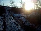 Borovina