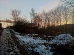 Borovina