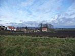 Třibřichy