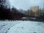 Borovina