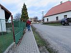 Třibřichy