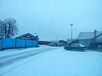 Borovina