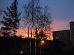 Borovina