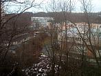 Borovina