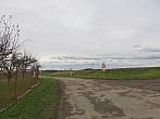 Třibřichy