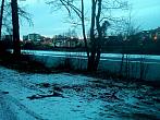 Borovina