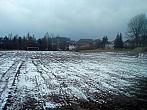 Borovina
