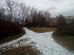 Borovina