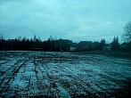 Borovina