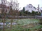 Třibřichy