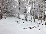 Pulečný