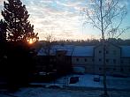 Borovina