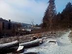 Borovina