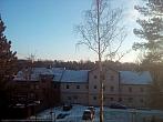 Borovina