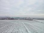 Borovina